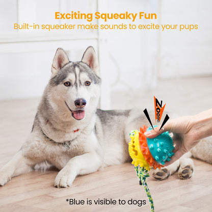 HGB Squeaky Treat Dispensing Dog Toys (Blue and Yellow Combination)